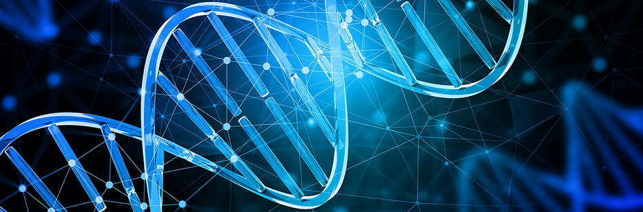 Logo_DNA