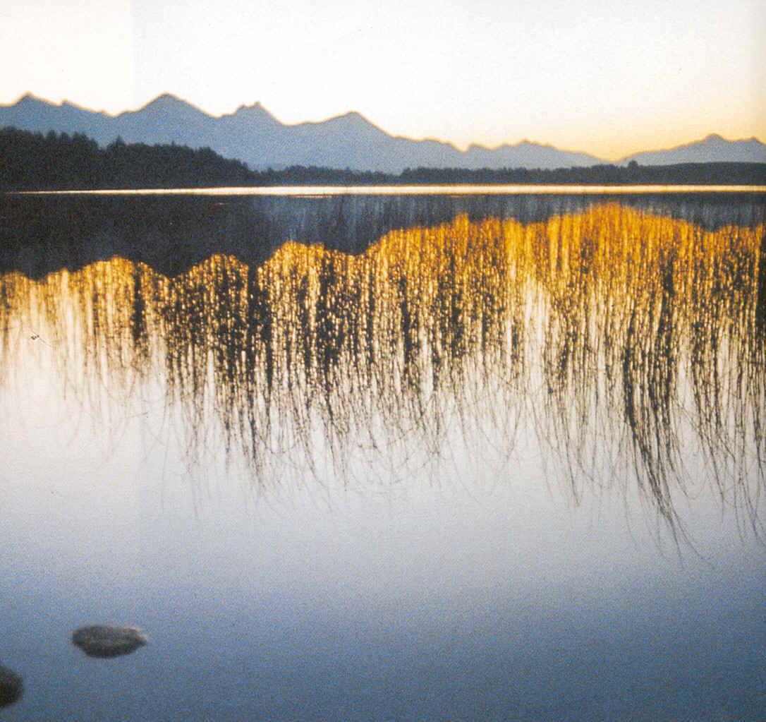Bannwaldsee Abendstimmung